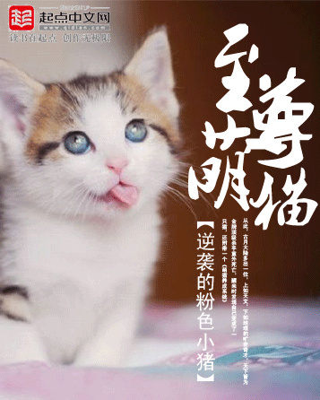 猫小猫最新小说-猫小猫新篇小说揭晓