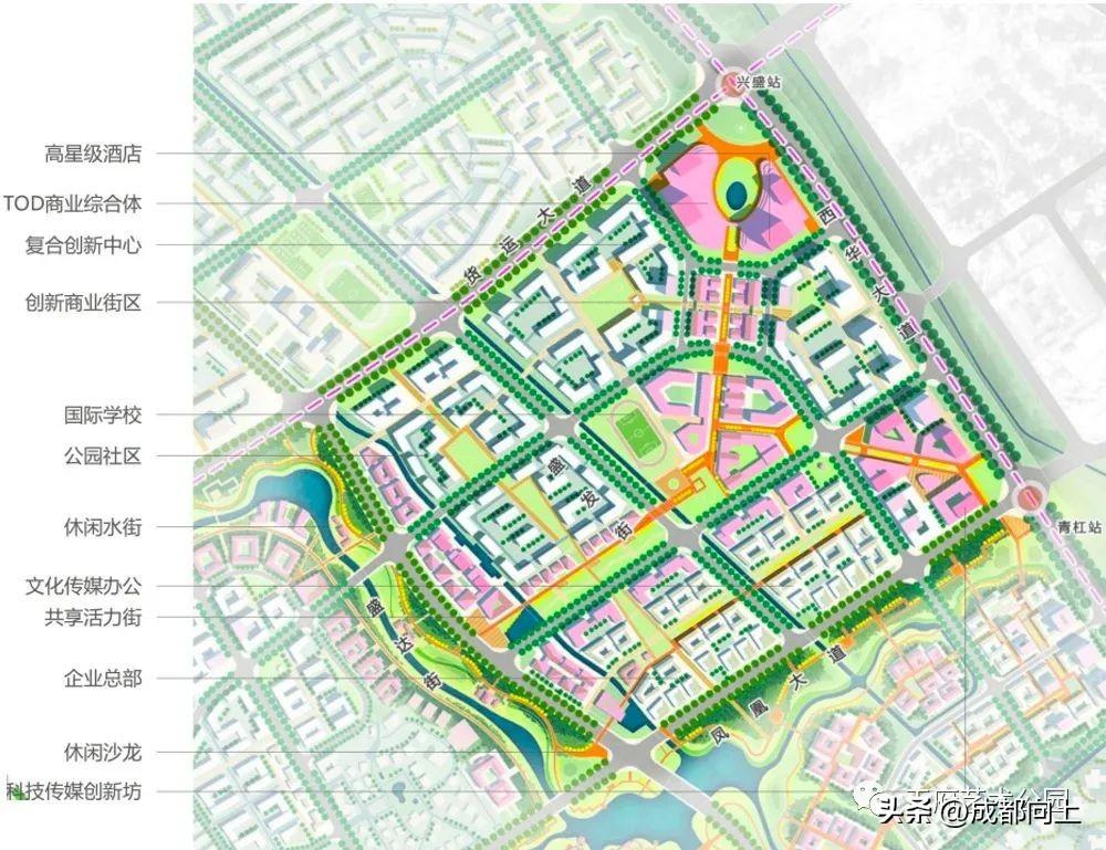 活力成都，教师精英招募盛典！🌟🏫